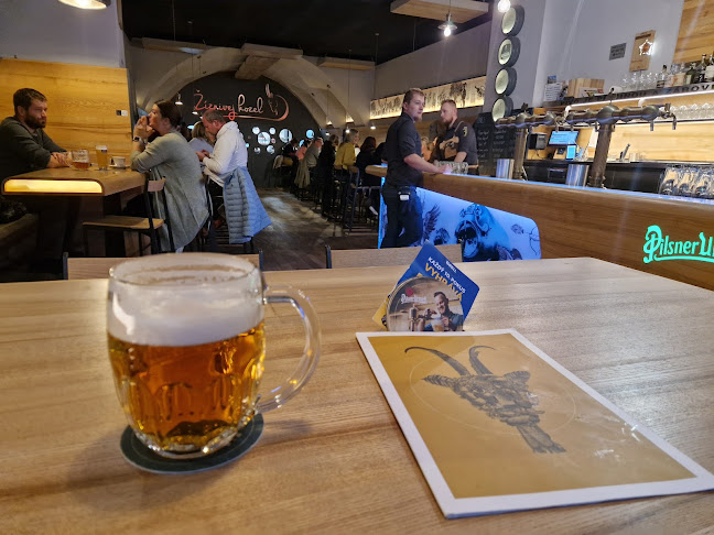 Žíznivej kozel - Klatovy