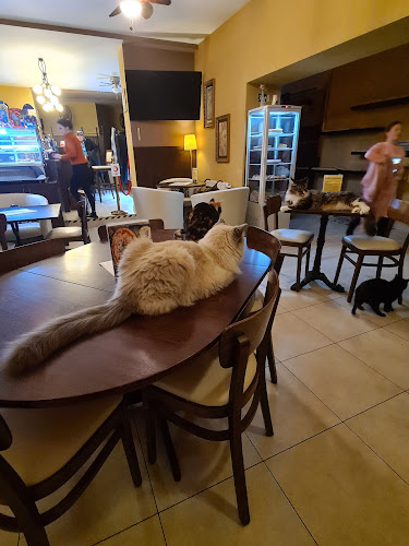 nádvoří hotelu Černý lev, Palackého nám. 25, 664 91 Ivančice