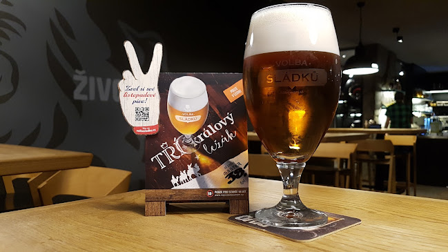 Opinii despre Radegastovna Kroměříž în Kroměříž - Gastronomie a pohostinství