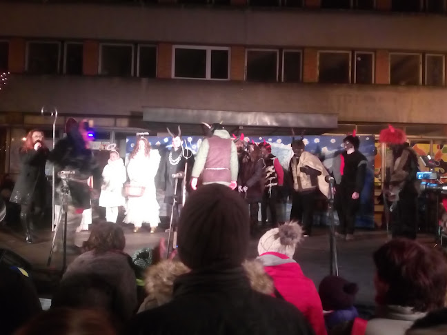 Comentarii opinii despre Vanderka Libor