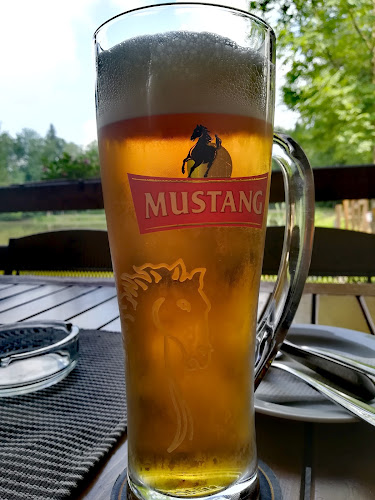 Comentarii opinii despre Restaurace Roubenka U Rybníka