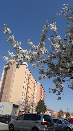 Družba 1275, 768 24 Hulín