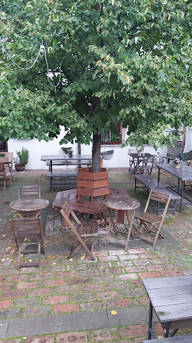 Opinii despre Vinárna hotelu Bonsai în Mikulov - Gastronomie a pohostinství