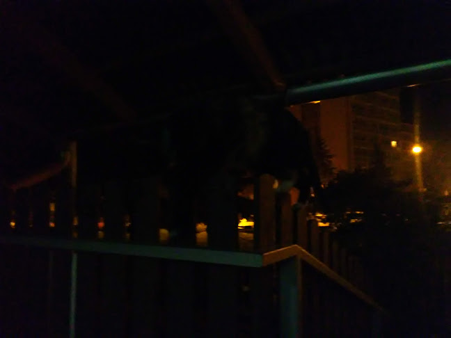 Moravská 784, 768 11 Chropyně