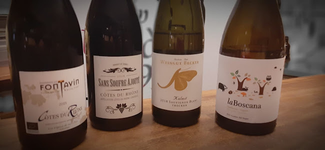 Opinii despre VINNÝ SKLEP ÚJEZD 19 în Malá Strana - Gastronomie a pohostinství