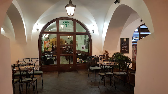 Opinii despre Pizzeria restaurace U Zeleného stromu în Kroměříž - Gastronomie a pohostinství