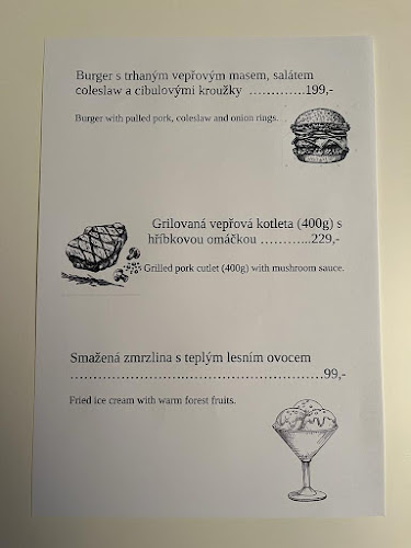 Opinii despre Restaurace Sklípek, Restaurace Karlovy Vary în Karlovy Vary - Gastronomie a pohostinství