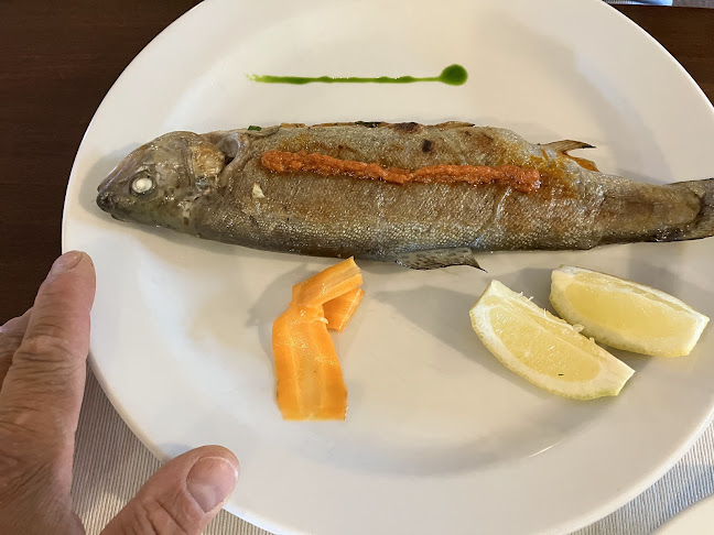 Opinii despre Restaurace Rybářská bašta în Brno - Gastronomie a pohostinství