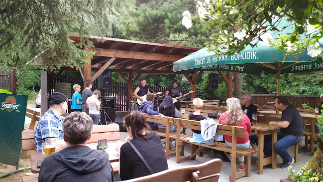 Březinská 1723, 735 41 Petřvald u Karviné