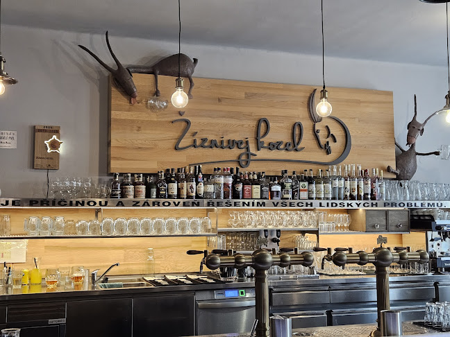 Žíznivej kozel - Klatovy