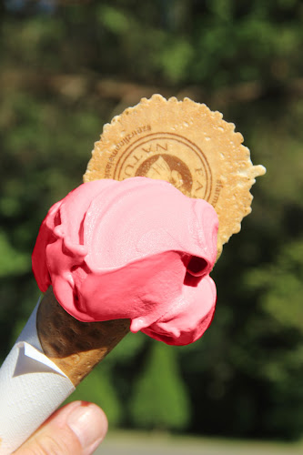 Zmrzlina z Farmy na rohu Domu Vína