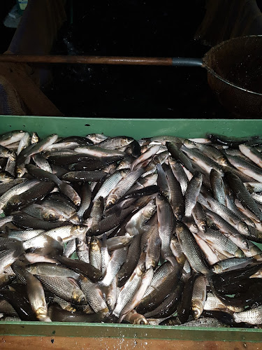 Poutnov 45 Provozovna Ryby Vlček Doručovací adresa - Klášterní 368, Teplá 364 61 364 61, Poutnov, 45