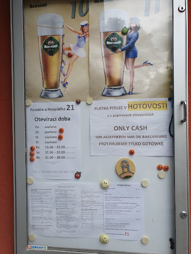Opinii despre Penzion a hospůdka 21 în Růžová - Gastronomie a pohostinství