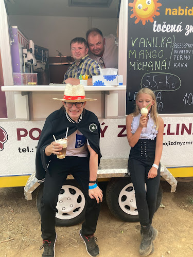 Pojízdný zmrzlinář - Gastronomie a pohostinství