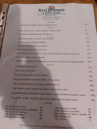 U Zlaté Koule - Olomouc