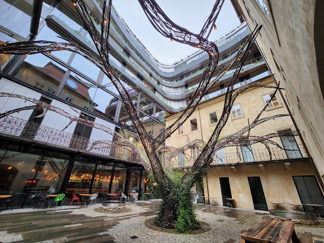 Comentarii opinii despre U Rarášků