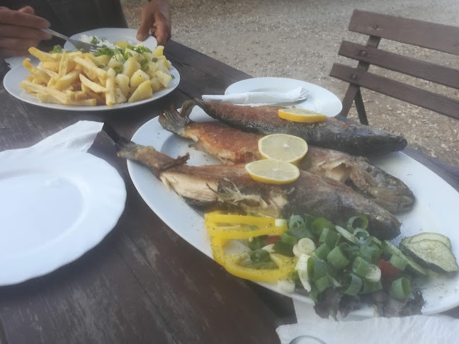 Hradec 87, 432 01 Rokle-Kadaň 1