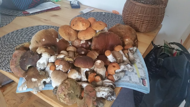 Opinii despre Restaurace Waldstein în Ústí nad Labem - Gastronomie a pohostinství