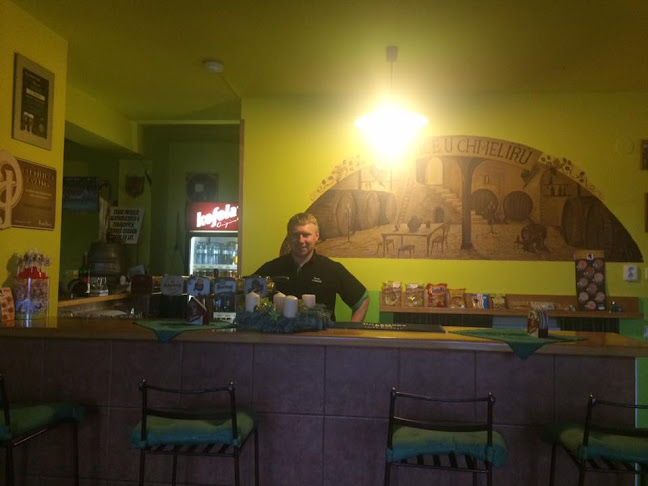 Opinii despre Pivnice U Chmelířů în Plzeňské Předměstí - Gastronomie a pohostinství