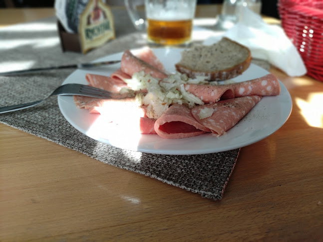 Opinii despre Hostinec "Na Oflendě" în Hlinsko - Gastronomie a pohostinství