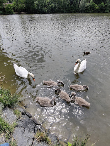 Restaurace Hamr - Praha