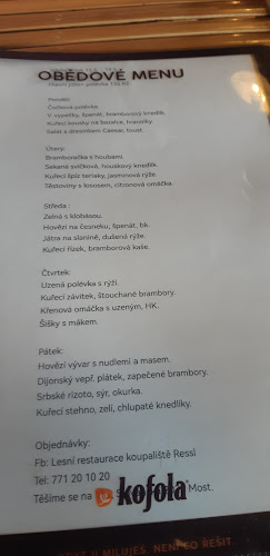 Opinii despre Restaurace Koupaliště Ressl în Most - Gastronomie a pohostinství