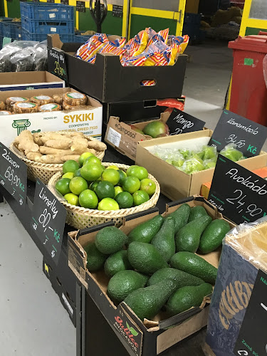 Comentarii opinii despre Wastex s.r.o.