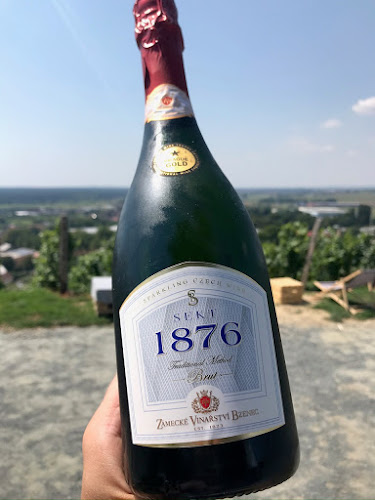 Opinii despre Svět Bublin în Brumov-Bylnice - Gastronomie a pohostinství