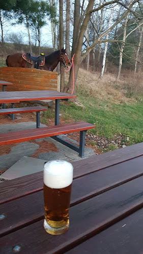 Dráhy 420, 739 44 Brušperk