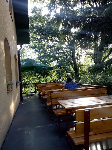 Pizzerie Steak GRUNT - Gastronomie a pohostinství