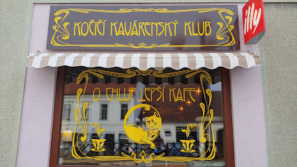 Kočičí kavárenský klub