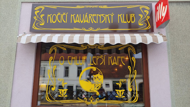 Kočičí kavárenský klub