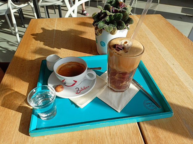 Fresh fanatic bistro Decathlon