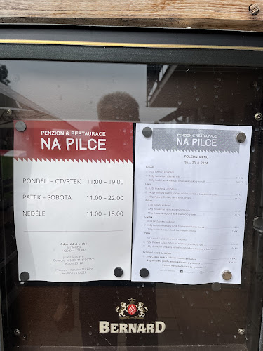 Opinii despre Penzion Na Pilce în Ústí nad Labem - Gastronomie a pohostinství