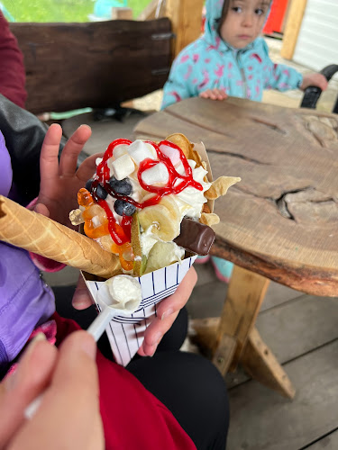 Občerstvení u Čuřilů - Gastronomie a pohostinství