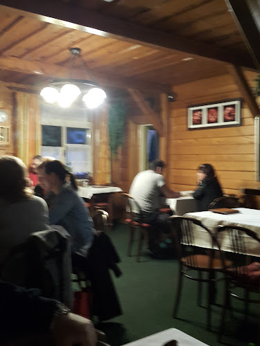 Hadí vrána - Plzeň 1