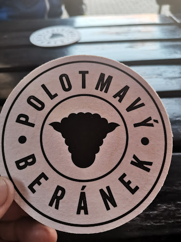 Opinii despre Pohostinství u kostela în Brno - Gastronomie a pohostinství