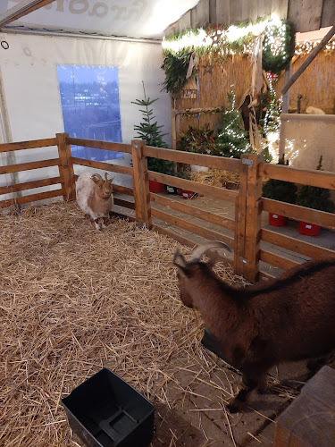 Restaurace Chládek - Gastronomie a pohostinství