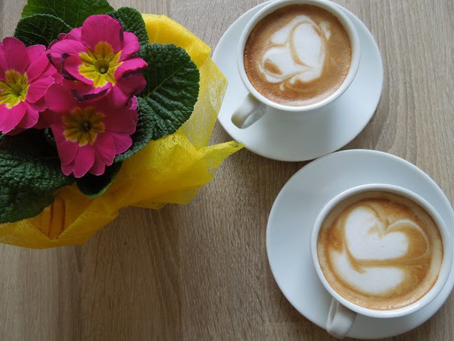 Dr. Novotného 1622/4, 664 91 Ivančice