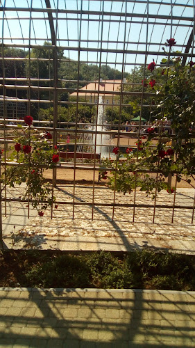 Comentarii opinii despre Jídelna Čsl. dobrovolců