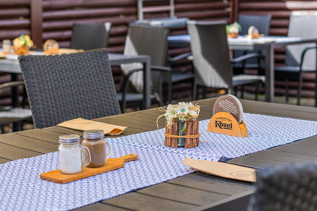 Comentarii opinii despre NEMOŠICKÁ HOSPODA