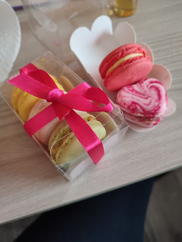 Mad Rabbit - Staré Město