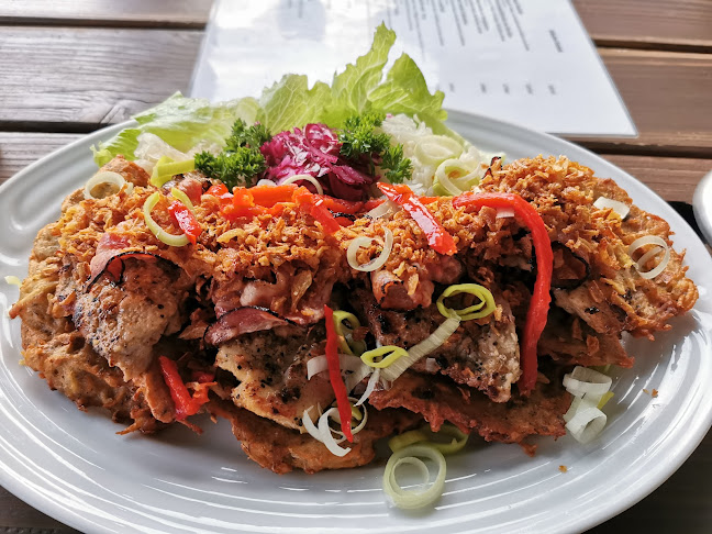 Opinii despre Hadí vrána în Plzeň 1 - Gastronomie a pohostinství