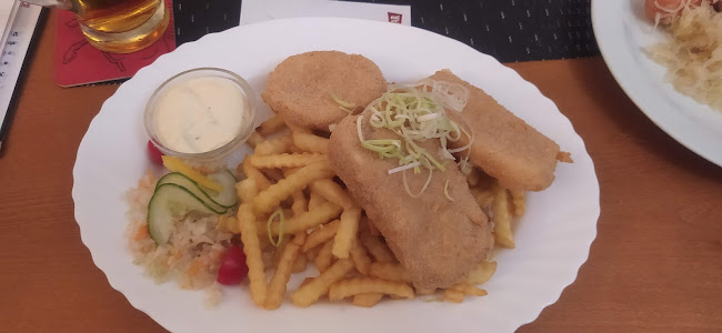 Comentarii opinii despre RESTAURACE U ZLATÉHO LVA