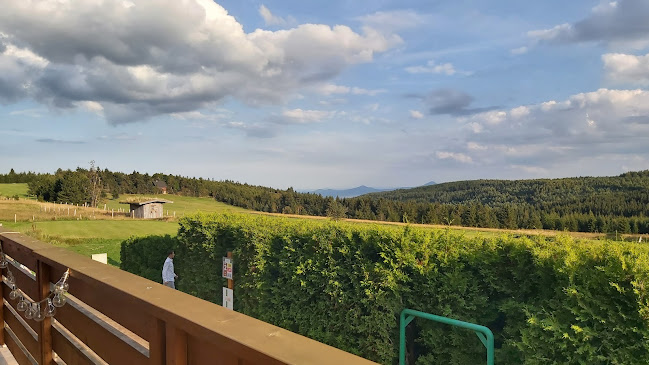 Comentarii opinii despre Hotel a restaurace Krušnohorský Dvůr