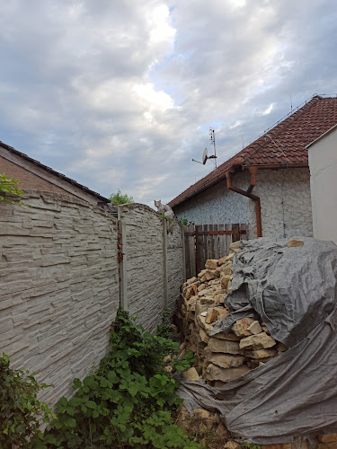 Comentarii opinii despre U České Koruny