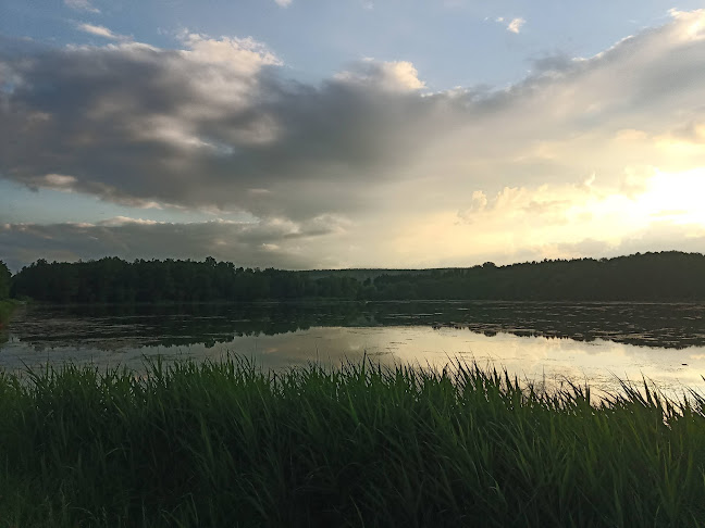 Plechárna , rychlé občerstvení - Gastronomie a pohostinství