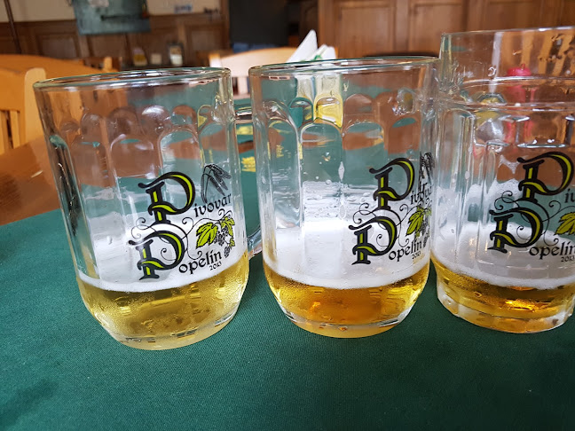 Opinii despre Hospoda u Zemanů în České Budějovice - Gastronomie a pohostinství