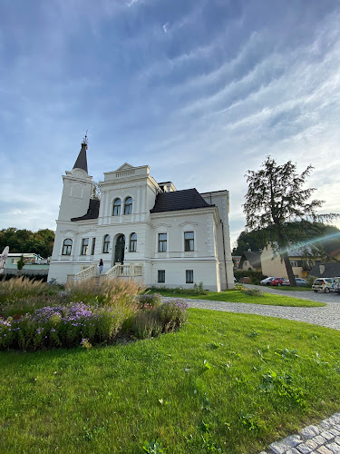 Comentarii opinii despre Slivovina