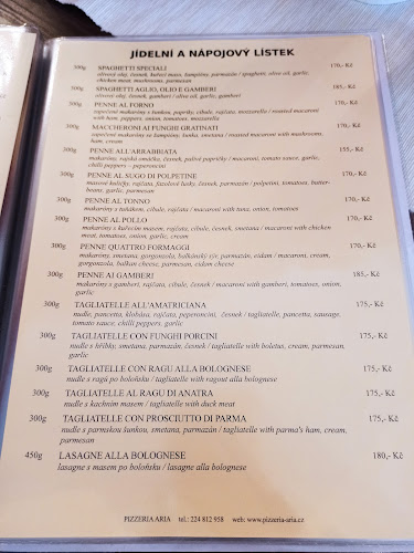 Opinii despre Pizzeria Aria în Karlín - Gastronomie a pohostinství